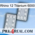 Rhino 12 Titanium 6000 17